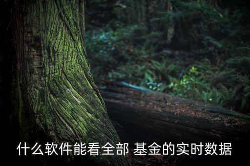 什么軟件能看全部 基金的實時數據