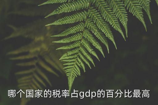 哪個(gè)國家的稅率占gdp的百分比最高