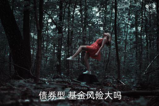  債券型 基金風(fēng)險大嗎