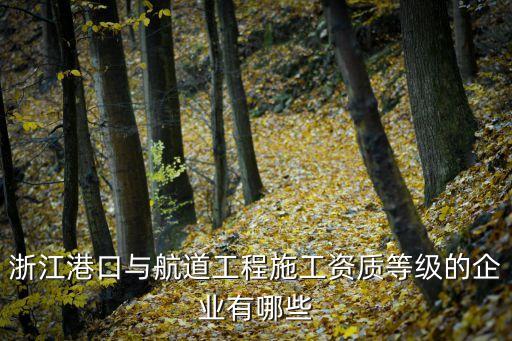 浙江港口與航道工程施工資質等級的企業(yè)有哪些