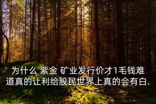 為什么 紫金 礦業(yè)發(fā)行價(jià)才1毛錢(qián)難道真的讓利給股民世界上真的會(huì)有白...