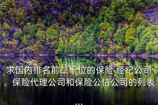 求國內(nèi)排名前二十位的保險(xiǎn) 經(jīng)紀(jì)公司、保險(xiǎn)代理公司和保險(xiǎn)公估公司的列表...