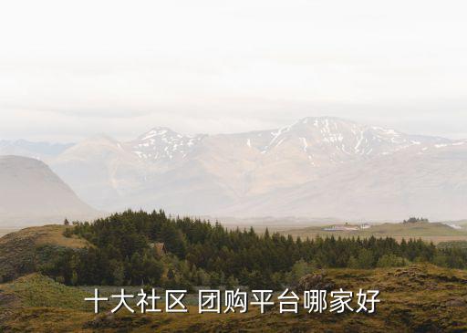 投資團(tuán)購網(wǎng)站,中國(guó)最早的團(tuán)購網(wǎng)站