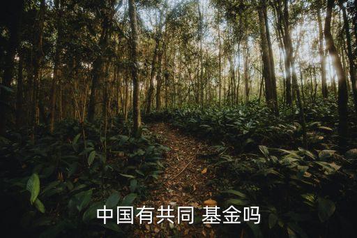 中國有共同 基金嗎