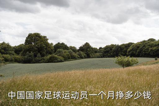 中國(guó)國(guó)家足球運(yùn)動(dòng)員一個(gè)月掙多少錢