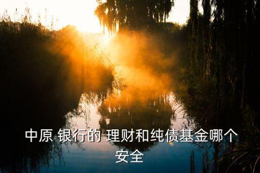 中原銀行理財(cái)安全嗎,在中原銀行買(mǎi)理財(cái)安全嗎