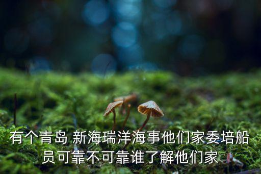 有個(gè)青島 新海瑞洋海事他們家委培船員可靠不可靠誰了解他們家