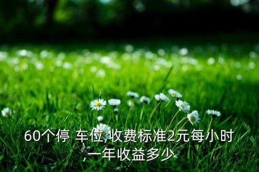 60個停 車位,收費(fèi)標(biāo)準(zhǔn)2元每小時,一年收益多少