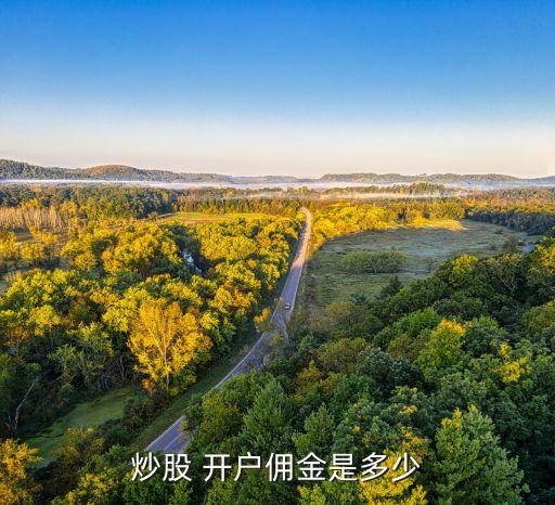 炒股 開(kāi)戶傭金是多少