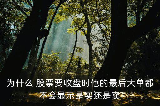 為什么 股票要收盤時他的最后大單都不會顯示是買還是賣