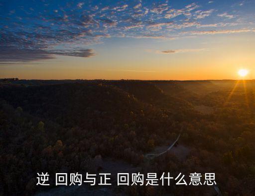 銀行承兌匯票逆回購(gòu)