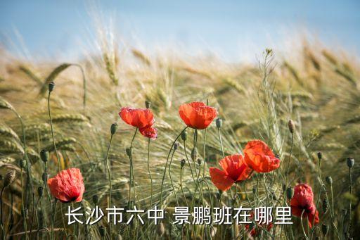 長(zhǎng)沙市六中 景鵬班在哪里