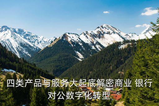 四類產(chǎn)品與服務(wù)大起底解密商業(yè) 銀行對(duì)公數(shù)字化轉(zhuǎn)型
