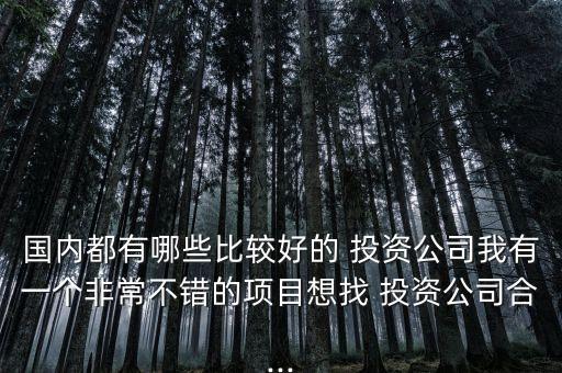 國內(nèi)都有哪些比較好的 投資公司我有一個(gè)非常不錯(cuò)的項(xiàng)目想找 投資公司合...