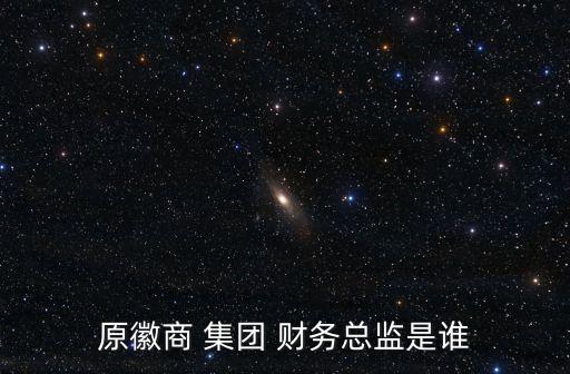 原徽商 集團(tuán) 財務(wù)總監(jiān)是誰