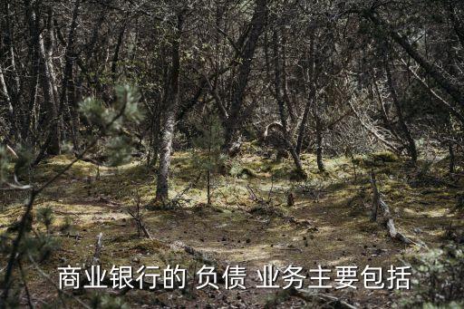  商業(yè)銀行的 負債 業(yè)務(wù)主要包括
