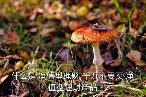 什么是 凈值型理財,千萬不要買 凈值型理財產品