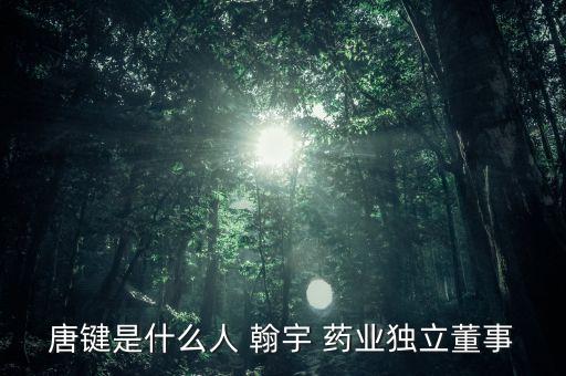 唐鍵是什么人 翰宇 藥業(yè)獨立董事