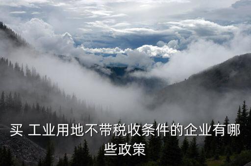 買(mǎi) 工業(yè)用地不帶稅收條件的企業(yè)有哪些政策