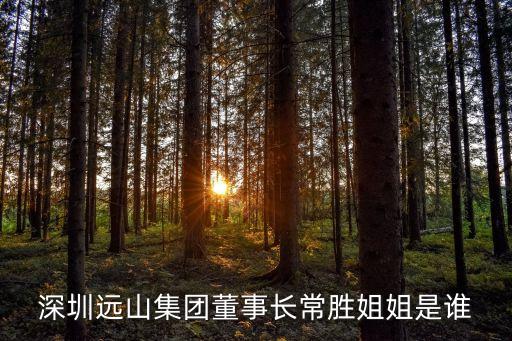 深圳遠(yuǎn)山集團(tuán)董事長(zhǎng)常勝姐姐是誰(shuí)