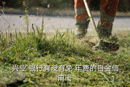 興業(yè)銀行標準金卡年費