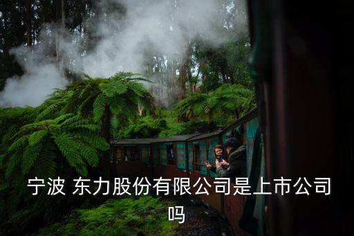 寧波東力傳動設備股份有限公司網(wǎng)站