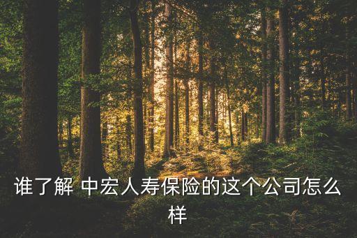 中宏保險(xiǎn)股票代碼