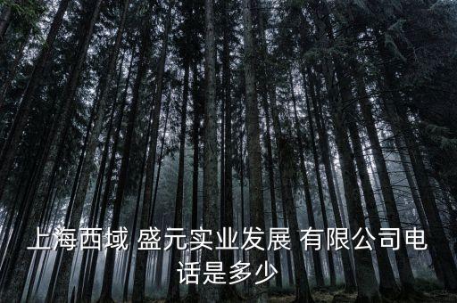 上海西域 盛元實(shí)業(yè)發(fā)展 有限公司電話(huà)是多少
