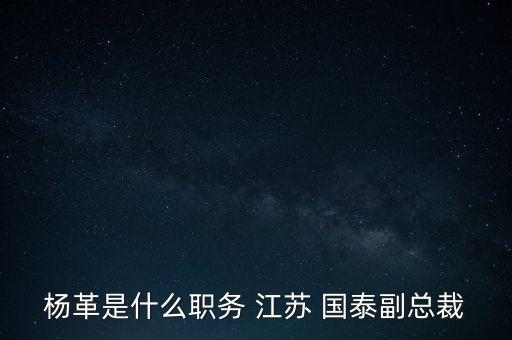 楊革是什么職務 江蘇 國泰副總裁