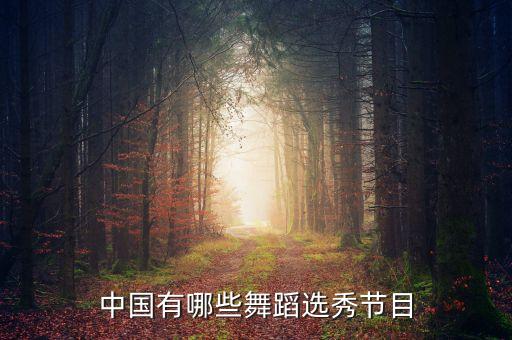 2011年第一季中國(guó)好聲音廣告招標(biāo)