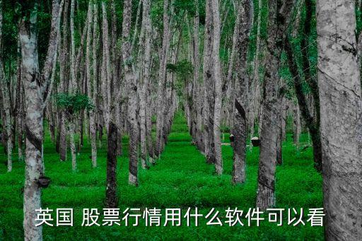 英國 股票行情用什么軟件可以看