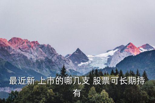 最近新 上市的哪幾支 股票可長(zhǎng)期持有