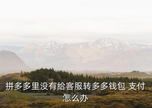 拼多多里沒(méi)有給客服轉(zhuǎn)多多錢(qián)包 支付怎么辦