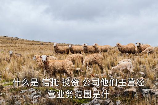 什么是 信托 投資 公司他們主營(yíng)經(jīng)營(yíng)業(yè)務(wù)范圍是什