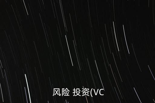 風(fēng)險(xiǎn)投資與金融市場