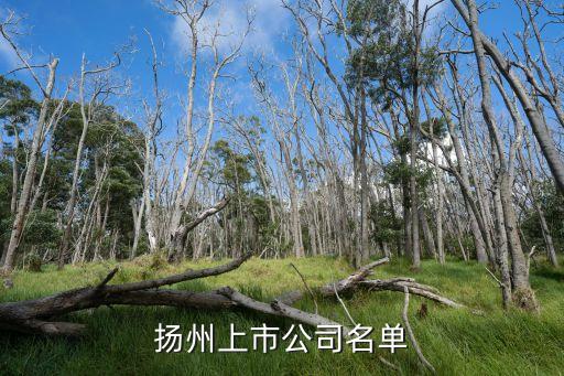 江蘇揚(yáng)農(nóng)化工股份有限公司郵箱
