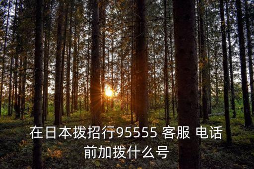 在日本撥招行95555 客服 電話(huà)前加撥什么號(hào)