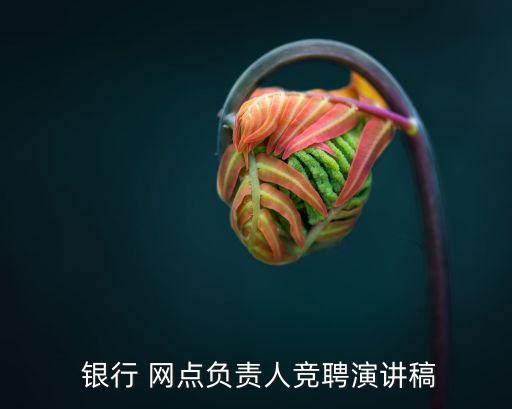  銀行 網(wǎng)點負責(zé)人競聘演講稿
