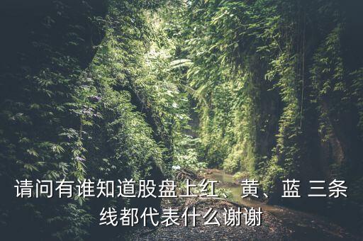 請問有誰知道股盤上紅、黃、藍 三條線都代表什么謝謝