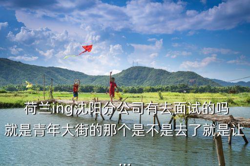  荷蘭ing沈陽分公司有去面試的嗎就是青年大街的那個(gè)是不是去了就是讓...