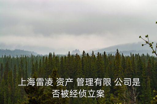  上海雷凌 資產 管理有限 公司是否被經偵立案