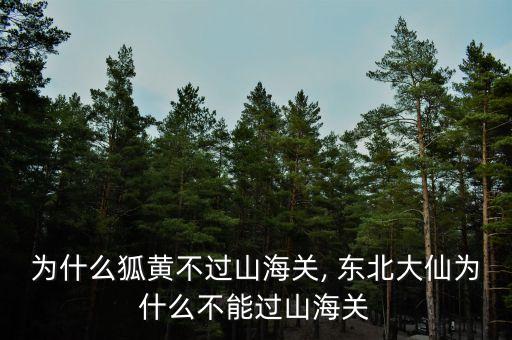 丹東港集團(tuán)老東北,遼港集團(tuán)丹東港招聘信息