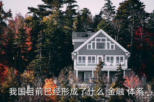 我國目前已經形成了什么 金融 體系