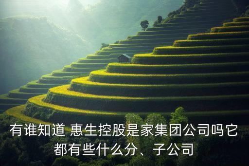 有誰知道 惠生控股是家集團公司嗎它都有些什么分、子公司