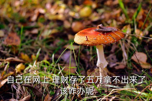 自己在網上 理財存了五萬拿不出來了,該咋辦呢