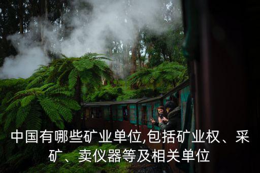 中國有哪些礦業(yè)單位,包括礦業(yè)權、采礦、賣儀器等及相關單位