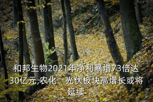 和邦生物2021年凈利暴增73倍達30億元,農(nóng)化、光伏板塊高增長或?qū)⒀永m(xù)