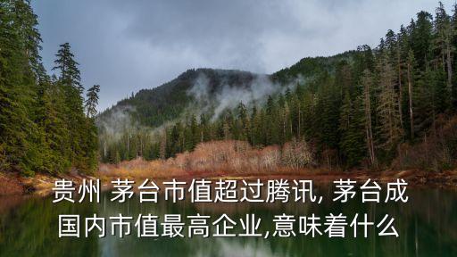 貴州茅臺(tái)上市公司