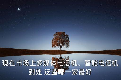 現(xiàn)在市場上多媒體電話機、智能電話機到處 泛濫哪一家最好