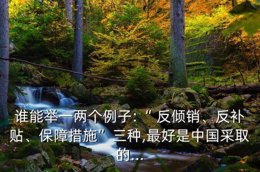 誰能舉一兩個(gè)例子:“ 反傾銷、反補(bǔ)貼、保障措施”三種,最好是中國采取的...